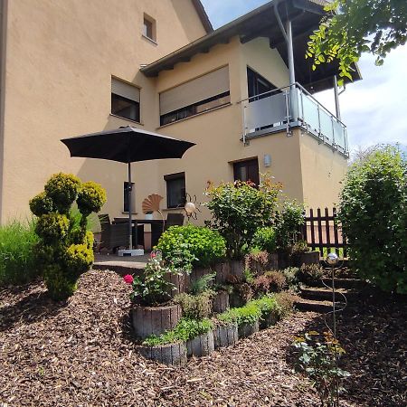Zum Buchenblick Apartment Санкт Вендел Екстериор снимка