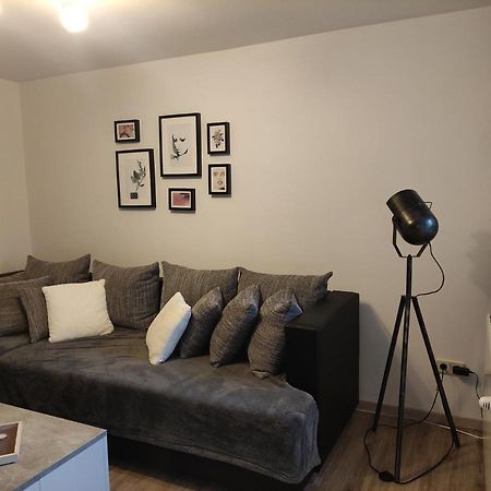 Zum Buchenblick Apartment Санкт Вендел Екстериор снимка